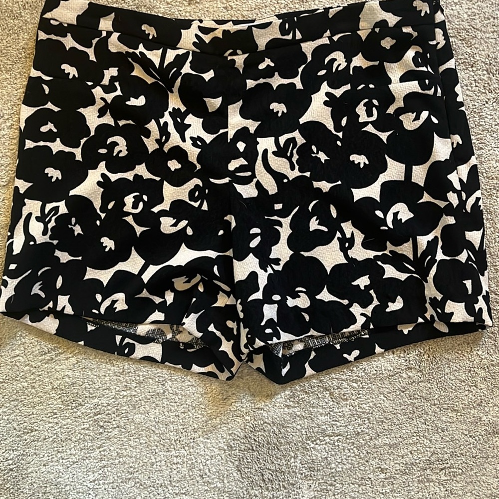 3/$20 Shorts by Katherine Barclay, Montreal.